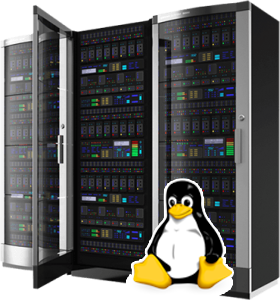 Linux Web Hosting